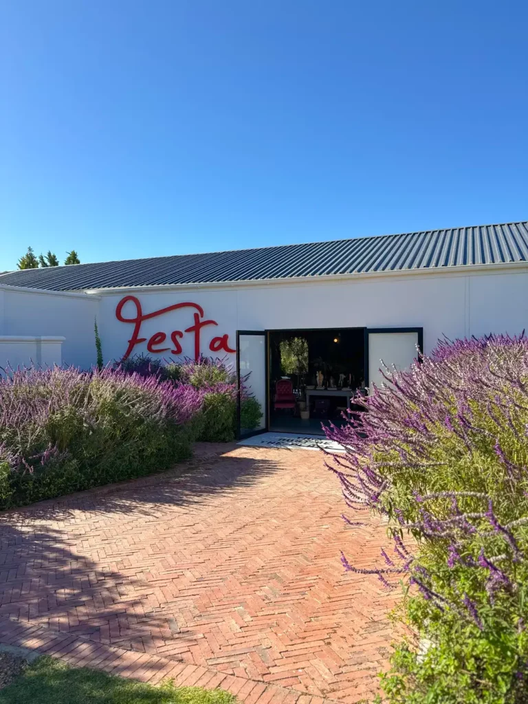 Festa restaurant family friendly wellington
