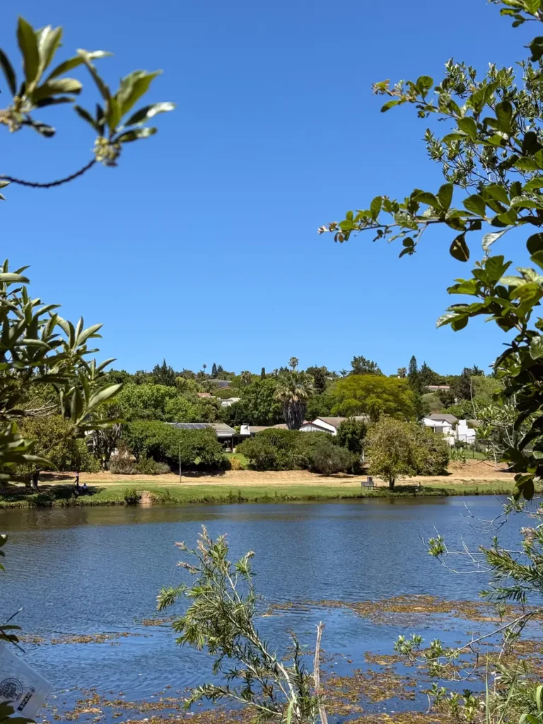 Majik forest-tygervalley-out-with-kids
