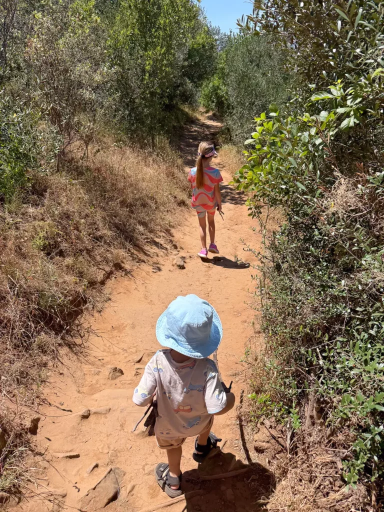 Majik forest-tygervalley-out-with-kids