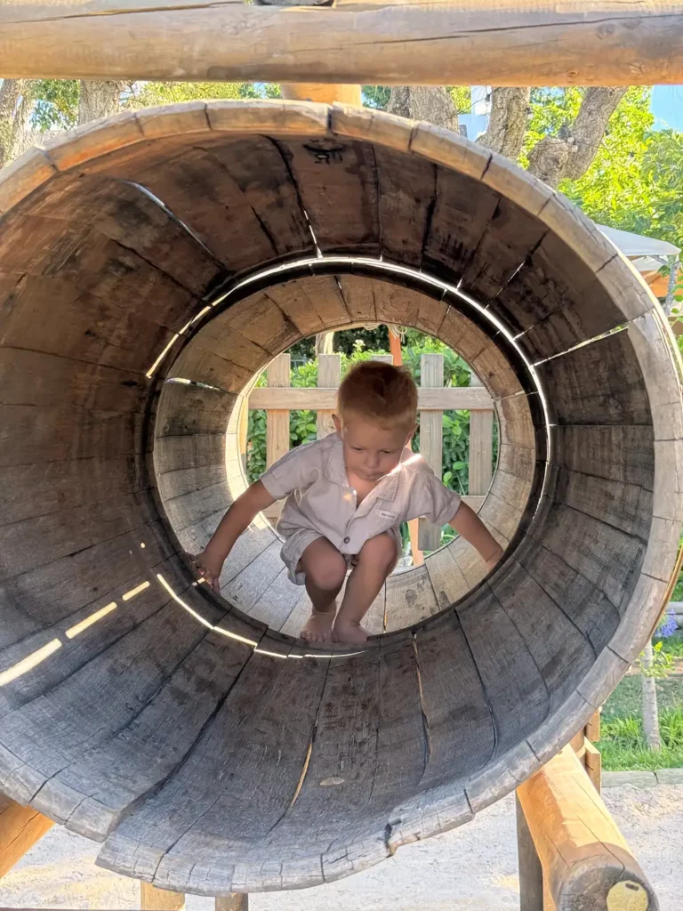 laborie - family friendly wine farm