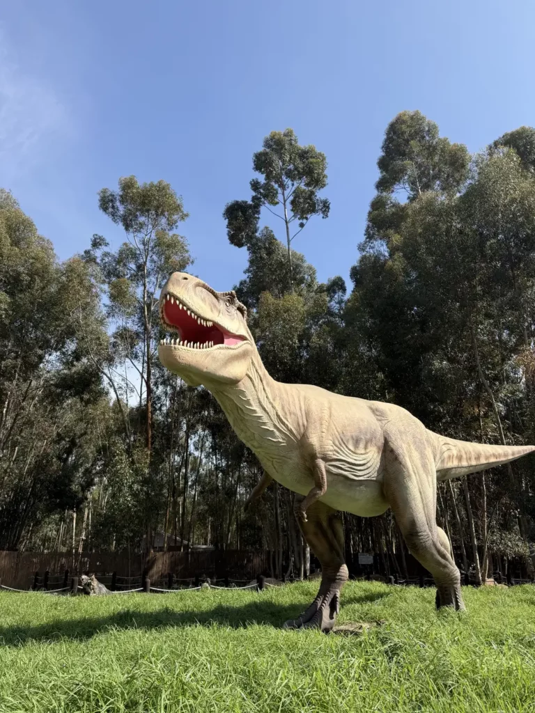 Dino Kingdom Cape Town Stellenbosch