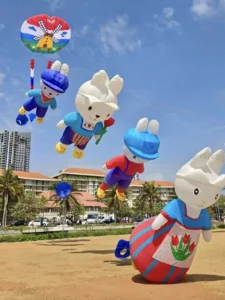 Kite Fest 2026